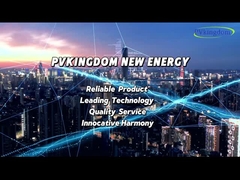 PVkingdom, een one-stop service provider!